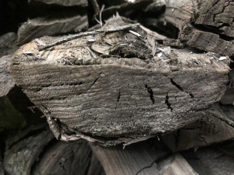 Biochar