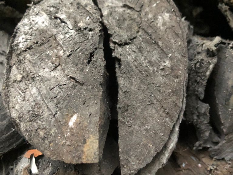 Home smoking charcoal